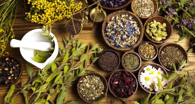 Aayurvedic herbs 